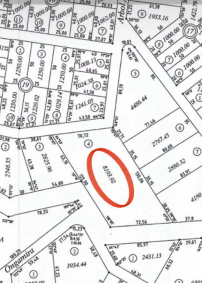 Lote estrategico de 8.194mts² al costado de la nueva autovia.Bialet masse